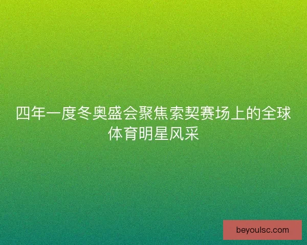 四年一度冬奥盛会聚焦索契赛场上的全球体育明星风采